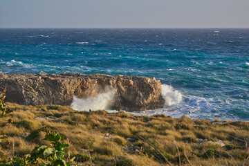 Windy Malta coastline with waves hitting limestone cliff, blue Mediterranean and scrubby grass in...