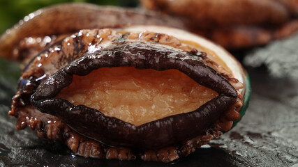 Fresh Abalone Seafood Closeup - Premium Marine Shell Ingredient for Gourmet Cooking
