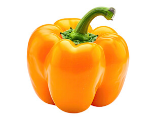 Close-up of a single orange bell pepper