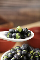 Fresh Black Beans with Green Sprouts on White Plates - Healthy Asian Cooking Ingredients