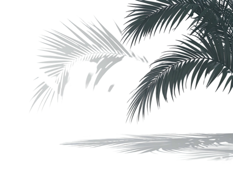 Abstract palm leaves on a dark background - Powered by Adobe