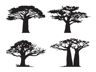 Baobab Tree Silhouettes with African Style 2D Vector Line Art © Mina