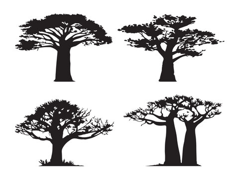 Baobab Tree Silhouettes with African Style 2D Vector Line Art