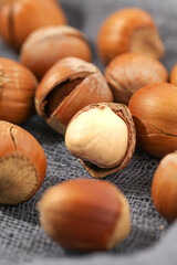 Fresh Hazelnuts Shelled and Peeled Kernels on Textured Background - Natural Nuts Collection