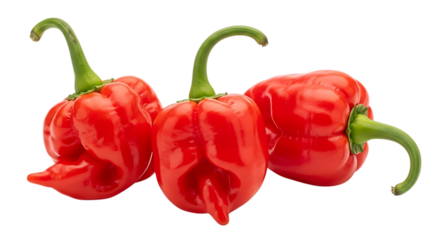 Three vibrant red Scotch Bonnet peppers against a dark background