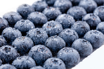Fresh Alpine Blueberries from Peru with Water Droplets Display Market Imported Fruit