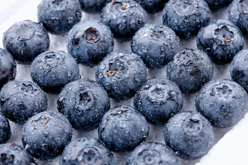 Fresh Blueberries with Water Droplets - Organic Fruit Background