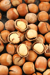 Fresh Shelled Hazelnuts with Golden Kernels and Natural Brown Shells for Cooking and Snacking