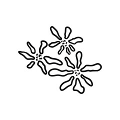 Hand drawn tattoo nature floral flowers, branches and leaves in line art style. Collection of sketches of botanical elements