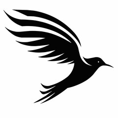 bird of prey