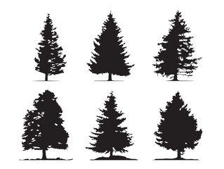 Evergreen Fir Tree Silhouette Illustration in Stylish 2D Vector Line Art