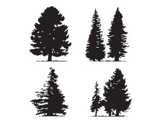 Fototapeta premium Majestic Redwood Tree Silhouette with Fine Details 2D Vector Line Art