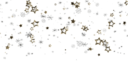 Elegant winter design. Perfect for holidays, celebrations, and winter themes.