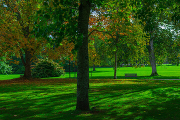Naklejka premium Scenic Autumn Park with Bright Trees