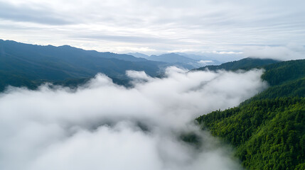 Obraz premium Misty mountain landscape shrouded in low-lying clouds, with green forests, creating a serene and atmospheric aerial perspective.