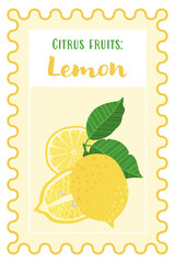 Citrus fruit banner with a lemon and text space. Fresh whole and sliced lemons with green leaves in a flat, minimal style. Ideal for branding, packaging, ads, and other print and web designs.
