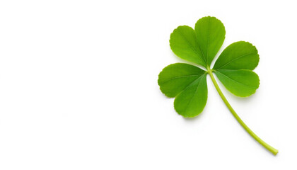 Green four-leaf clover symbolizing good luck for Saint Patrick's Day  copyspace