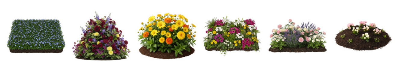 Fototapeta premium Garden plant set including colorful flowering bushes, flower beds, and hedge isolated. Landscaping and outdoor design elements.