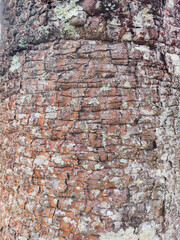 wall, stone, texture, brick, old, architecture, pattern, rough, rock, textured, cement, building, construction, abstract, ancient, brown, grunge, material, backgrounds, masonry, surface, tree, nature,