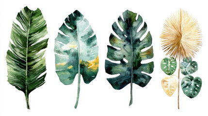 Watercolor Tropical Leaves Set: Palm, Monstera, and Pampas Grass Illustration