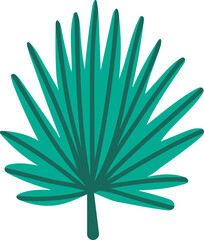 Tropical palm tree leaf drawing illustration artwork