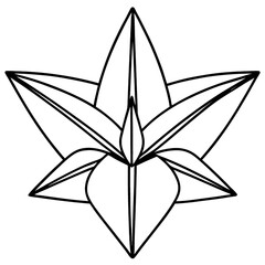 Geometric Star Shaped Flower Outline floral bloom