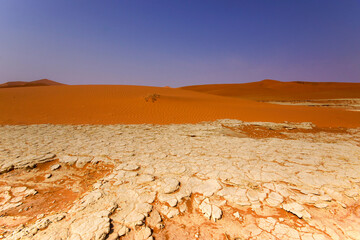 White salt crusts in a salt pan amid the orange dunes of Namibia&rsquo;s Namib Desert