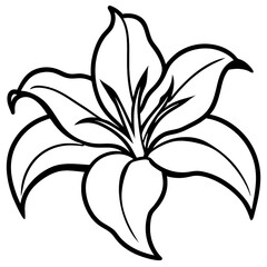 Stylized Lily Flower Outline Vector Graphic image photo