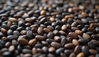 Close-up shot of pile of raw sunflower seeds. Seeds have brown and black colors, striped texture, and oval shape. Suitable for use as food ingredient or snack.