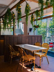 Cozy Cafe Interior with Hanging Greenery and Wooden Tables
