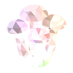 モザイク×ぶなしめじ(白)