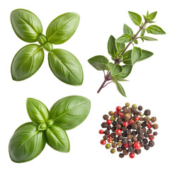 Basil, Oregano, Thyme, green and black pepper fruits isolated on white background