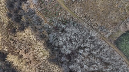 Aerial view of a late fall prairie landscape with bare trees, golden grasses, and winding marshland under soft natural light. Serene seasonal transition captured from above.