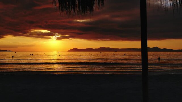 Sunset on the tropical seashore. Palm trees on the ocean shore. The perfect vacation.
