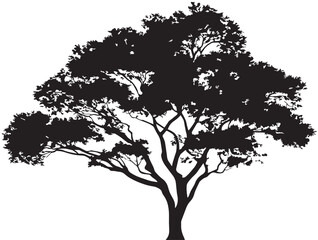 Obraz premium Ancient Eldertree Silhouette Artwork in Minimal 2D Vector Line Art