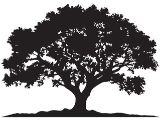 Fototapeta premium Stylish Equinox Tree Silhouette Concept with Modern 2D Vector Line Art