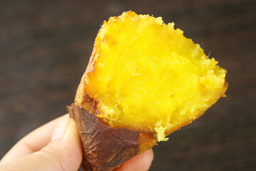 Roasted Japanese Sweet Potato with Golden Yellow Flesh Held in Hand