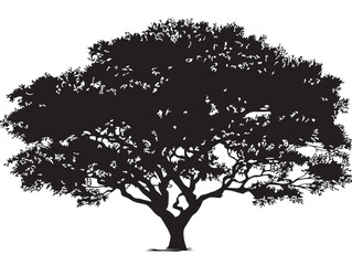 Fototapeta premium Whimsical Dreamweaver Tree Design with Abstract Roots in 2D Vector Line Art