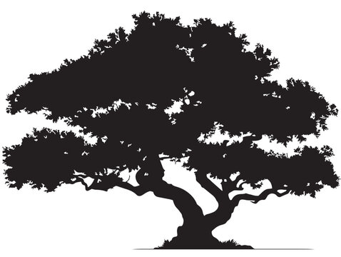 Ancient Druids Grove Tree Illustration in Black 2D Vector Line Art