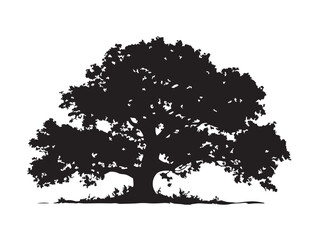 Enchanted Oak Tree Silhouette with Magical Branches in 2D Vector Line Art