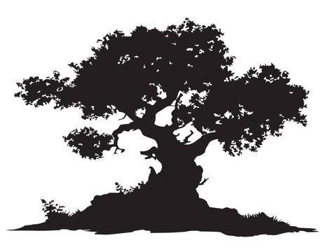 Detailed Faes Throne Tree Silhouette Depicting Enchantment in 2D Vector Line Art