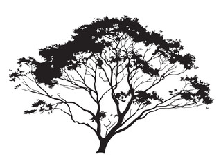 Fototapeta premium Ironbark Tree Silhouette with Rugged Texture and Power in 2D Vector Line Art