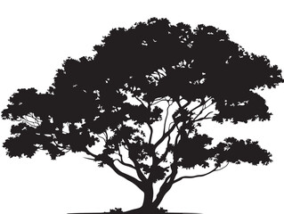Stonewood Tree Silhouette 2D Vector Line Art Illustration