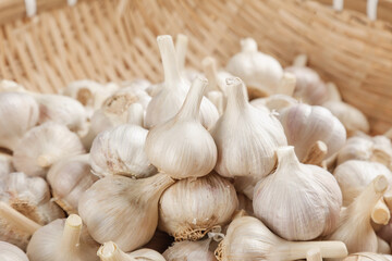 Fresh White Garlic Bulbs from Shandong Farm in Wicker Basket - Premium Agricultural Produce