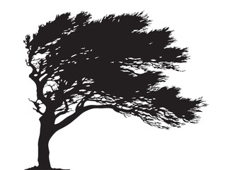 Weathered Storm Tree Silhouette 2D Vector Line Artwork