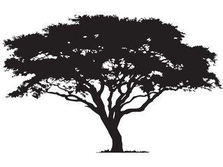 Bold Strongwood Tree Silhouette 2D Vector Line Artwork