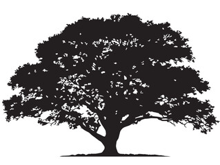Majestic Strongwood Tree 2D Vector Line Art Drawing