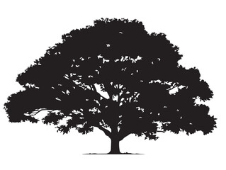 The Sun Dappled Crown Tree 2D Vector Line Art Silhouette Artwork  