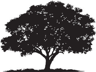Elegant Sun Dappled Crown Tree Silhouette 2D Vector Line Art  