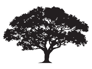 Stunning Sunsinger Tree 2D Vector Line Art for Nature Illustration  